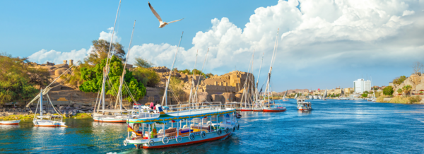 Fly Free with Wendy Wu Tours 